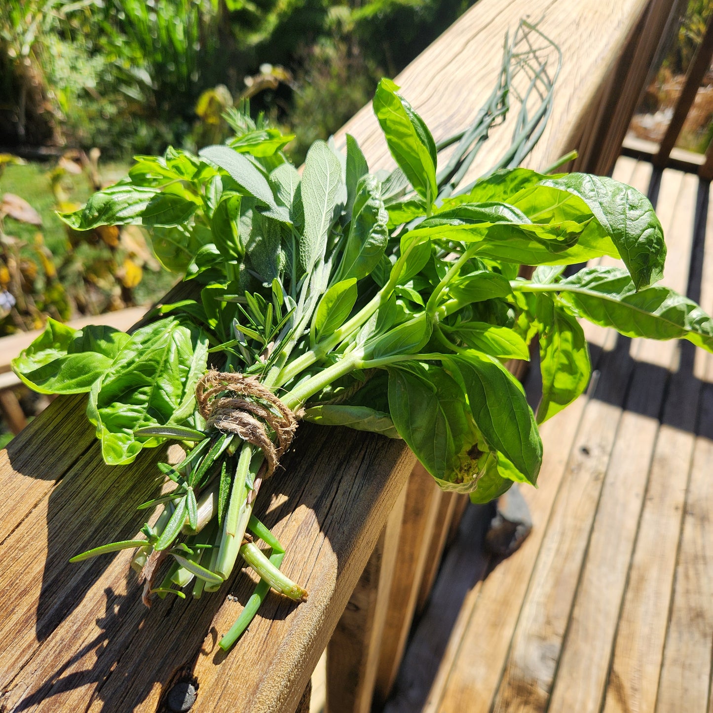 Fresh Herb Selection